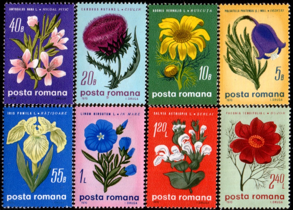 1970 - flori de stepa, serie neuzata
